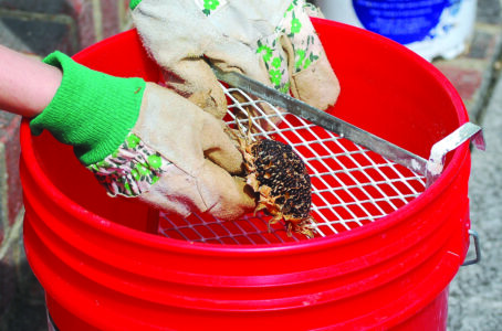 Dear MOTHER: Coming of Age Image